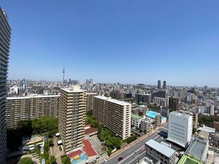 清澄白河駅 徒歩7分 24階の物件内観写真